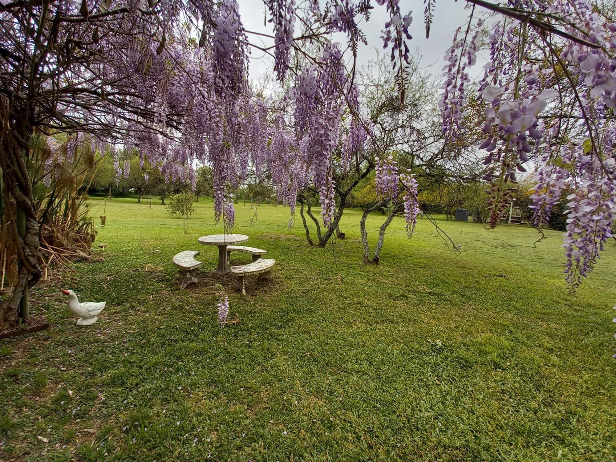 La Rosa Del Azafran - Rural - Ranchos De Vacaciones En Entre Rios Lodge