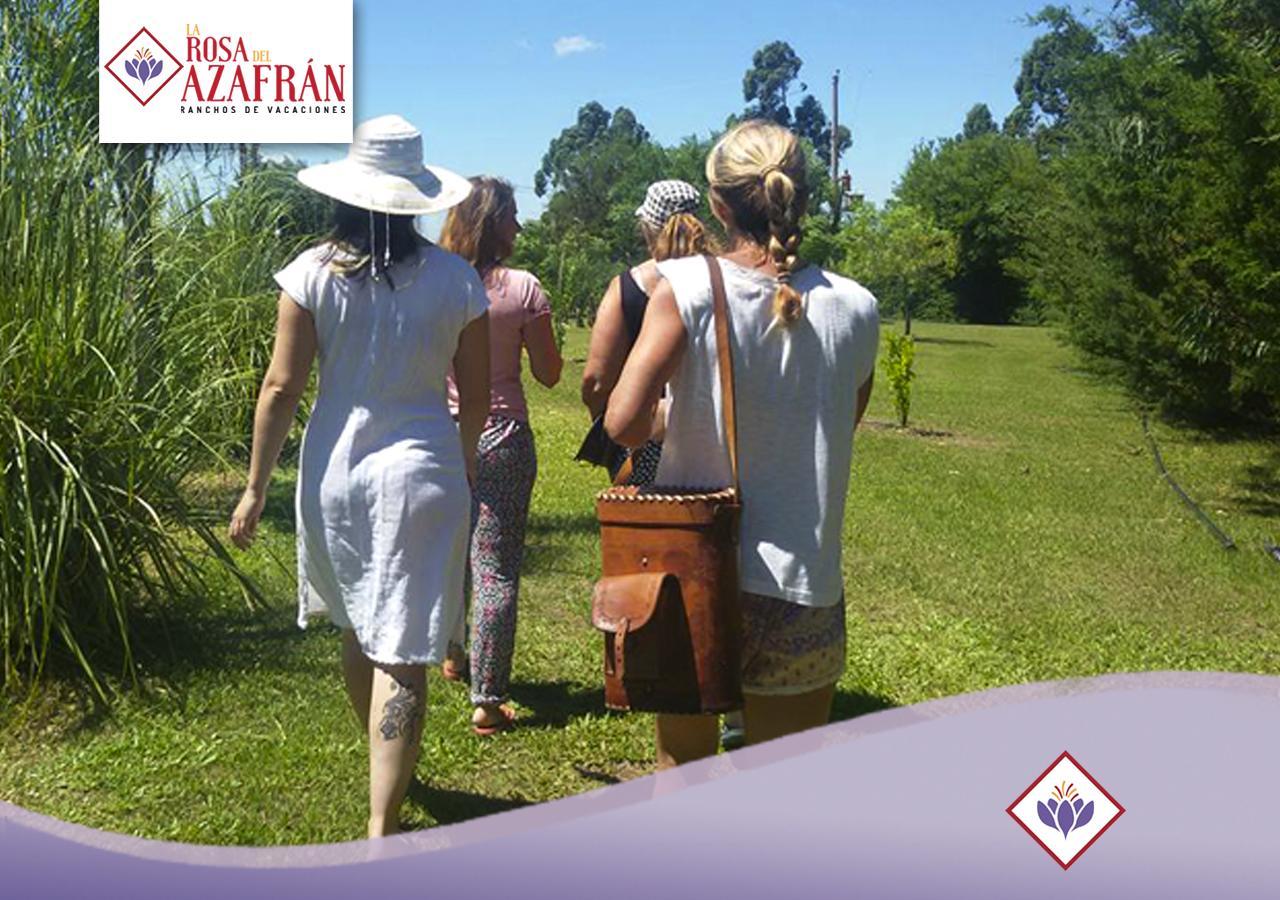 La Rosa Del Azafran - Rural - Ranchos De Vacaciones En Entre Rios * San Jose (Entre Rios)